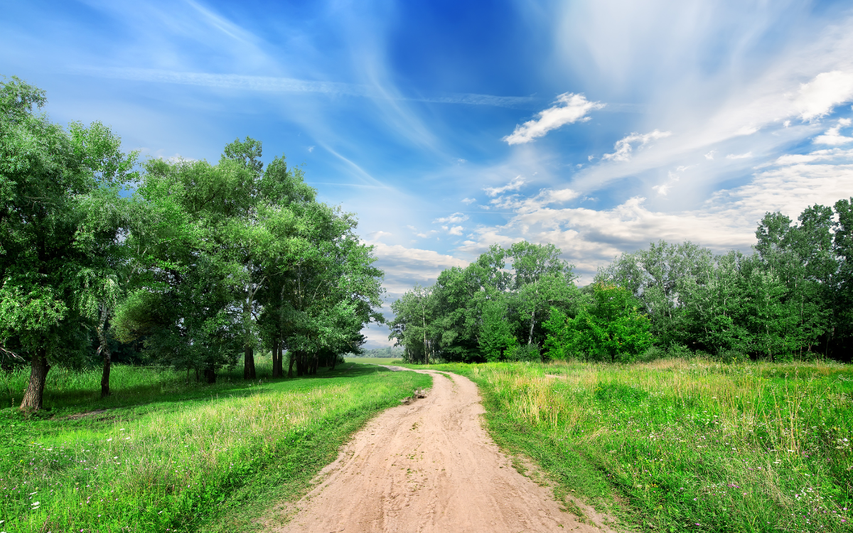 What a Virtual Tour Can (and Can't) Tell You About Rural Property in Missouri